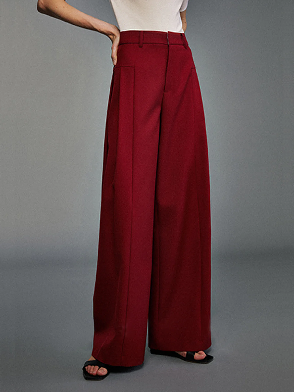 Pleated Wide-Leg Pants - Takermore