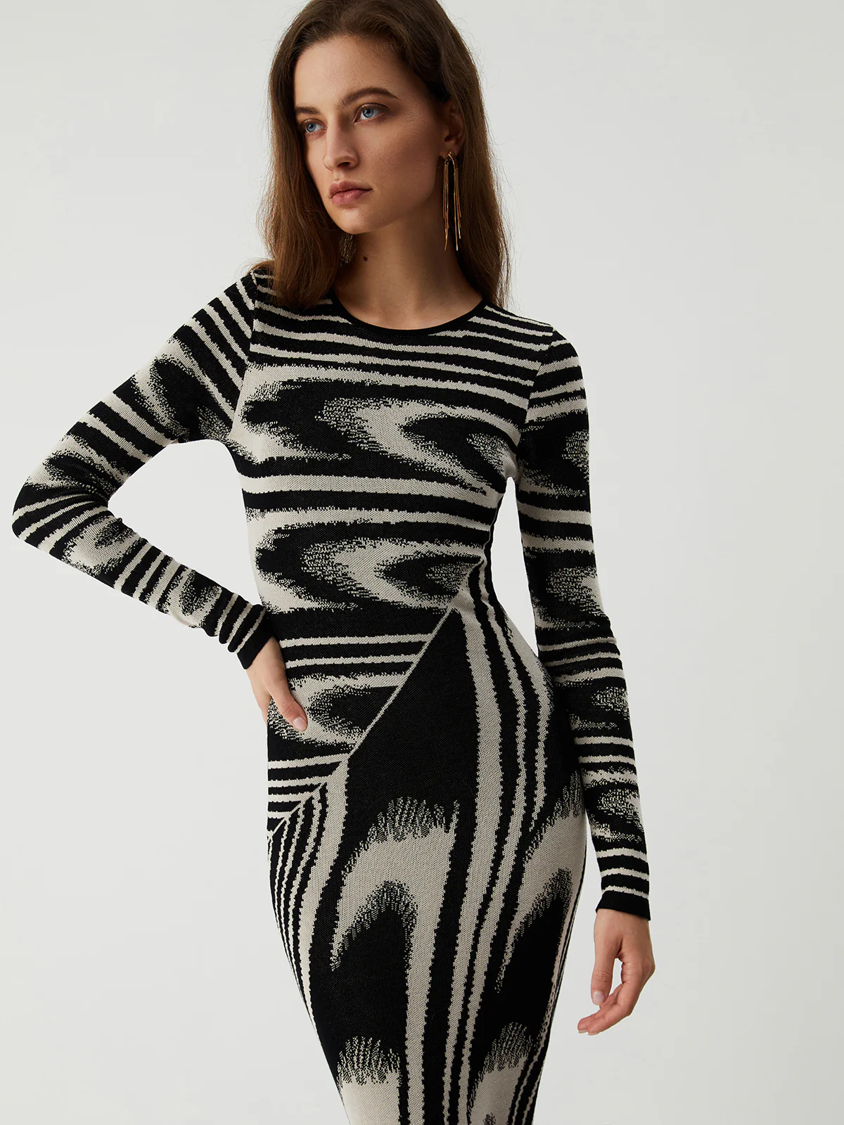 Zebra Print Long Sleeve Sweater Dress - Takermore