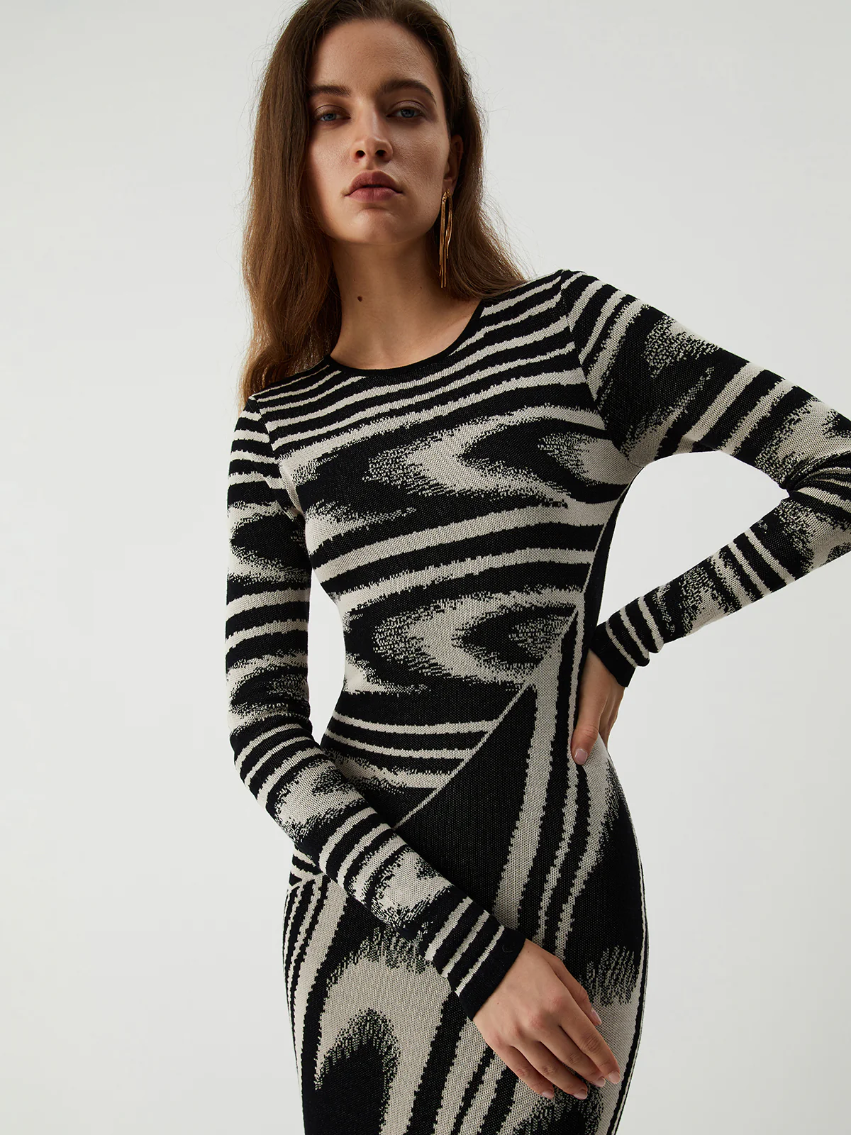 Zebra Print Long Sleeve Sweater Dress - Takermore